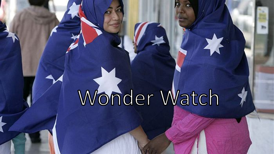 wonder-watch